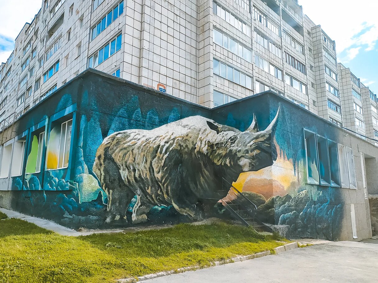 Медведь граффити